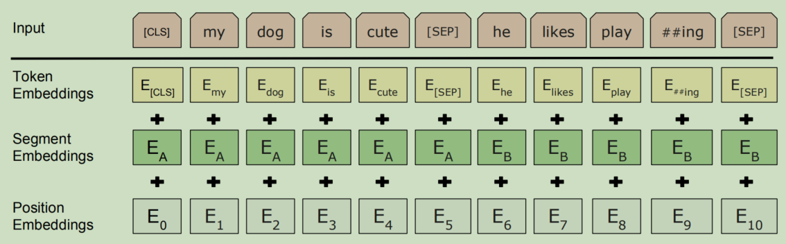 BERT input representation